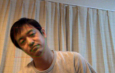 Dlib Face Detection of Webcam