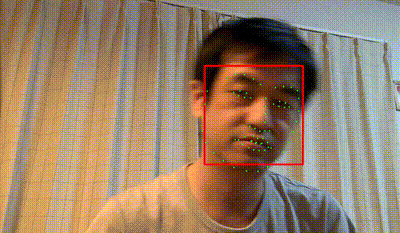 Dlib Face Detection of Webcam
